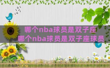 哪个nba球员是双子座 哪个nba球员是双子座球员